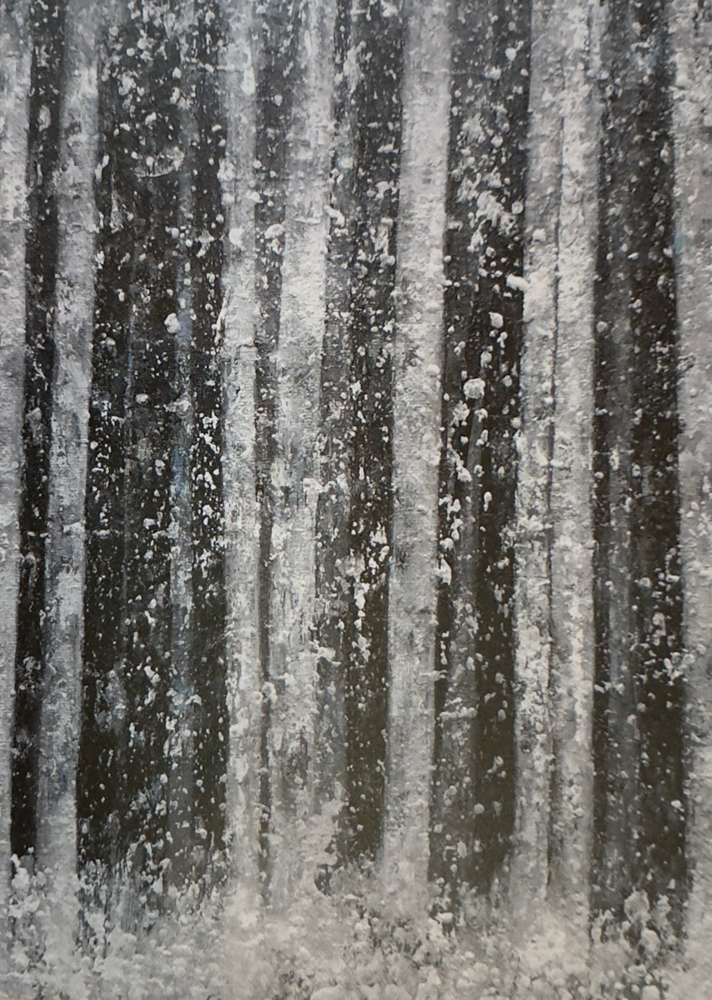 TREES & TREES, 5 greeting cards/set