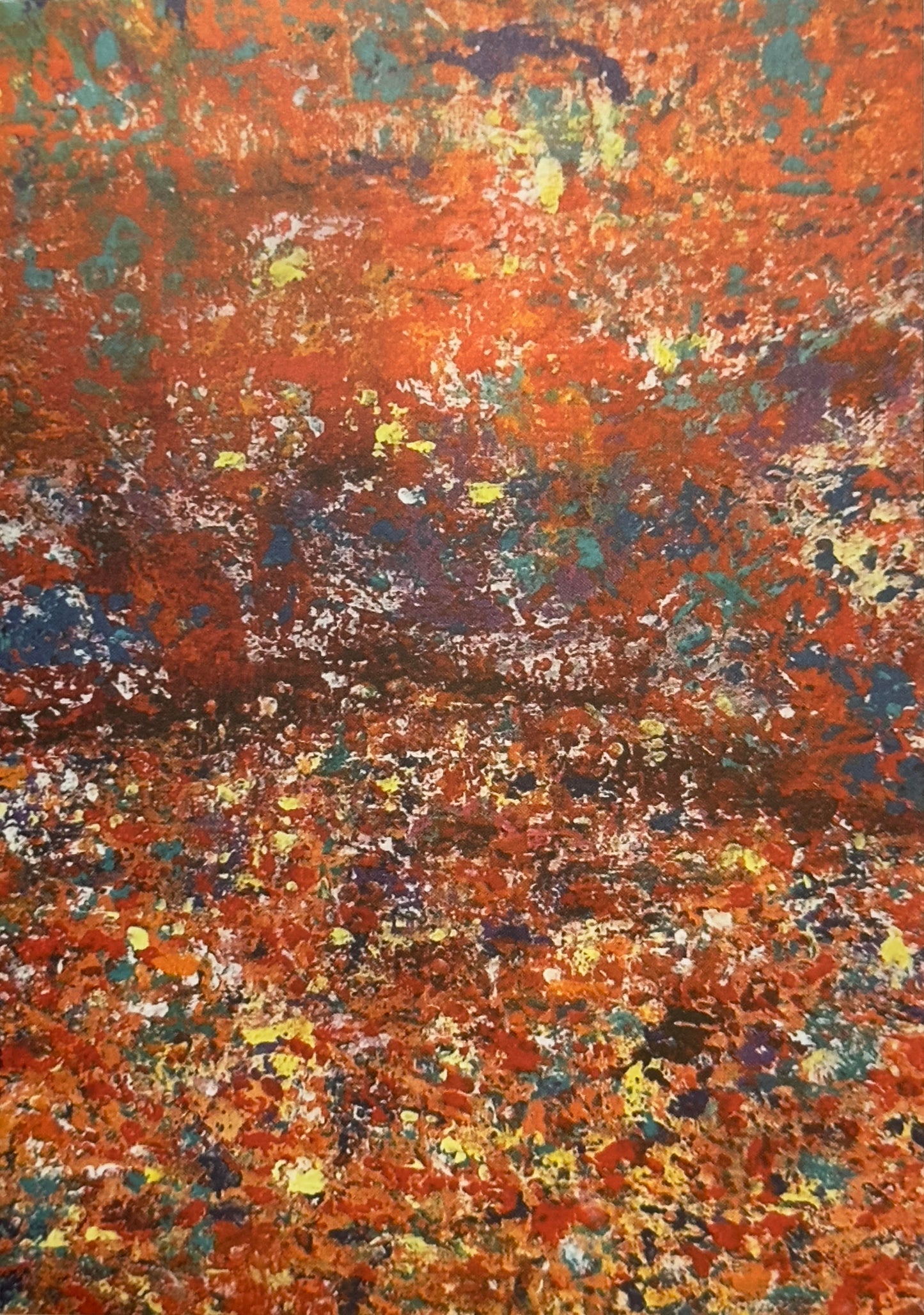 LAND & WATER, 5 greeting cards/set