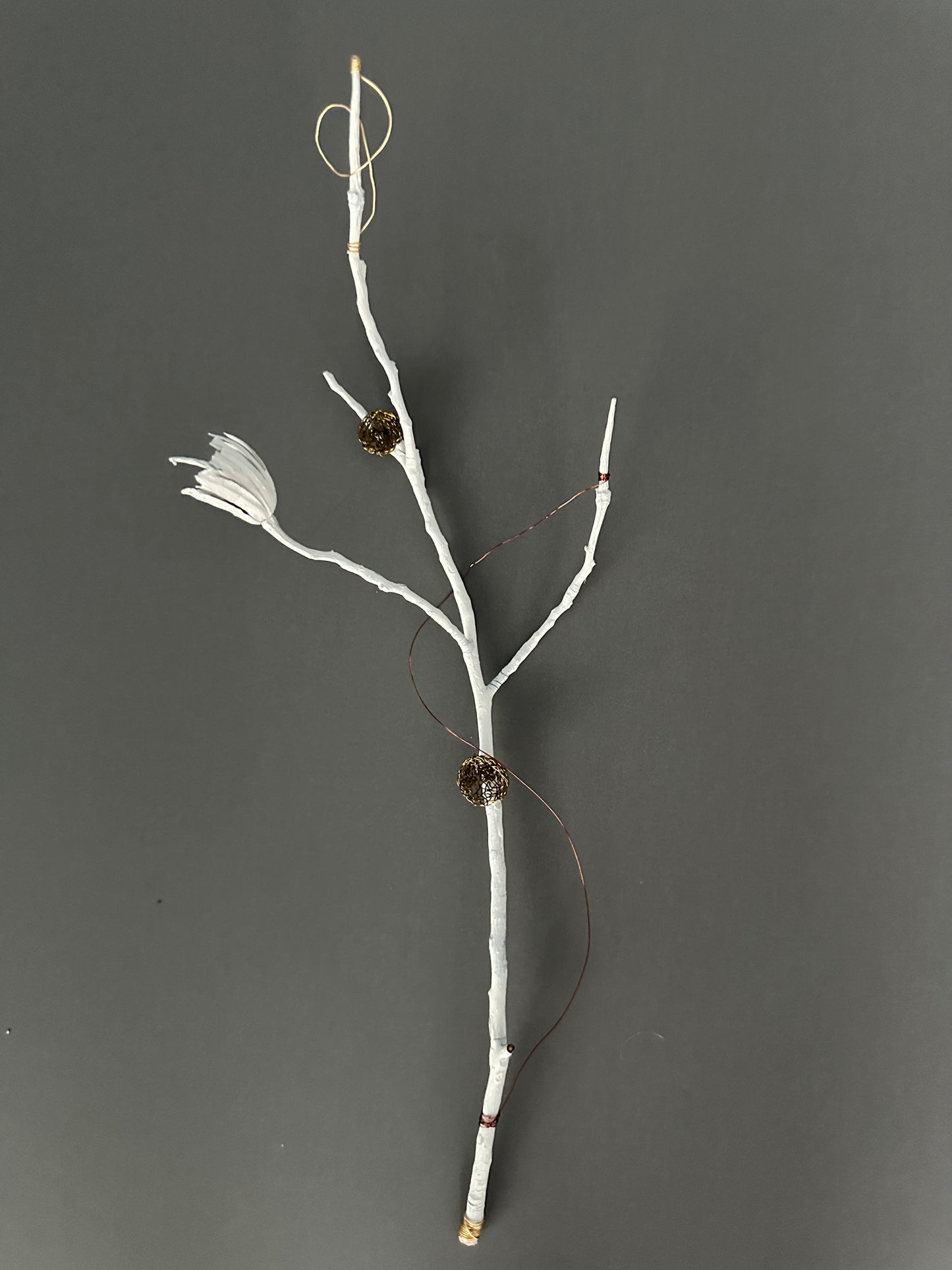 THANKFUL, 5-postcard set